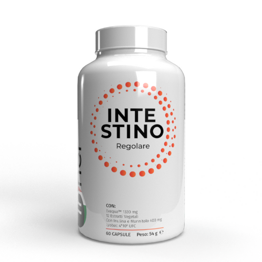 Intestino Regolare